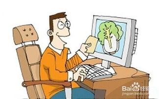 食品流通中的主體及其在互聯(lián)網(wǎng)銷售中的角色